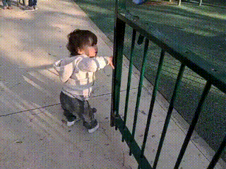 GIF