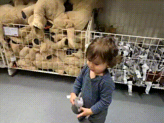 GIF