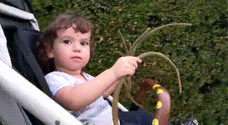 GIF