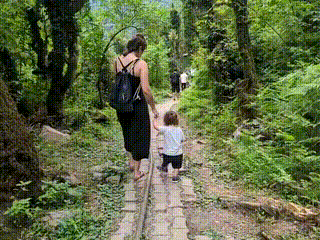 GIF