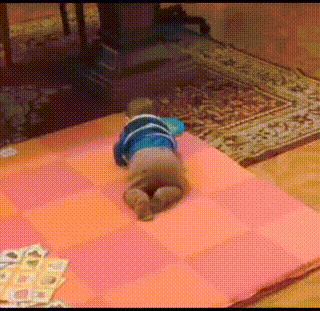 GIF