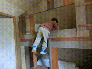 GIF