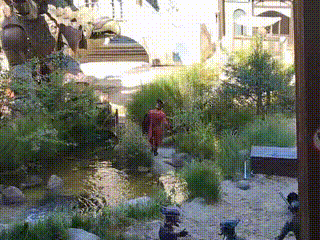 GIF
